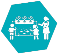 Système Aquaponique